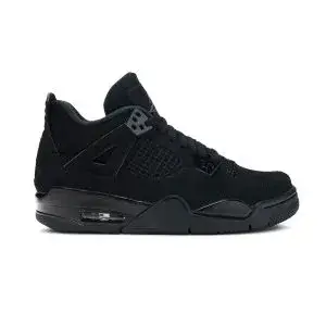 Air Jordan 4 Retro GS “Black Cat”