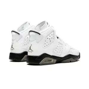 Youth Jordan Air Jordan 6 Retro (GS) “Alligator”