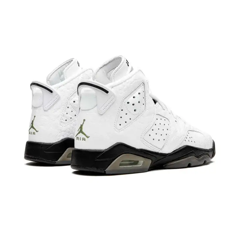 Youth Jordan Air Jordan 6 Retro (GS) “Alligator” 