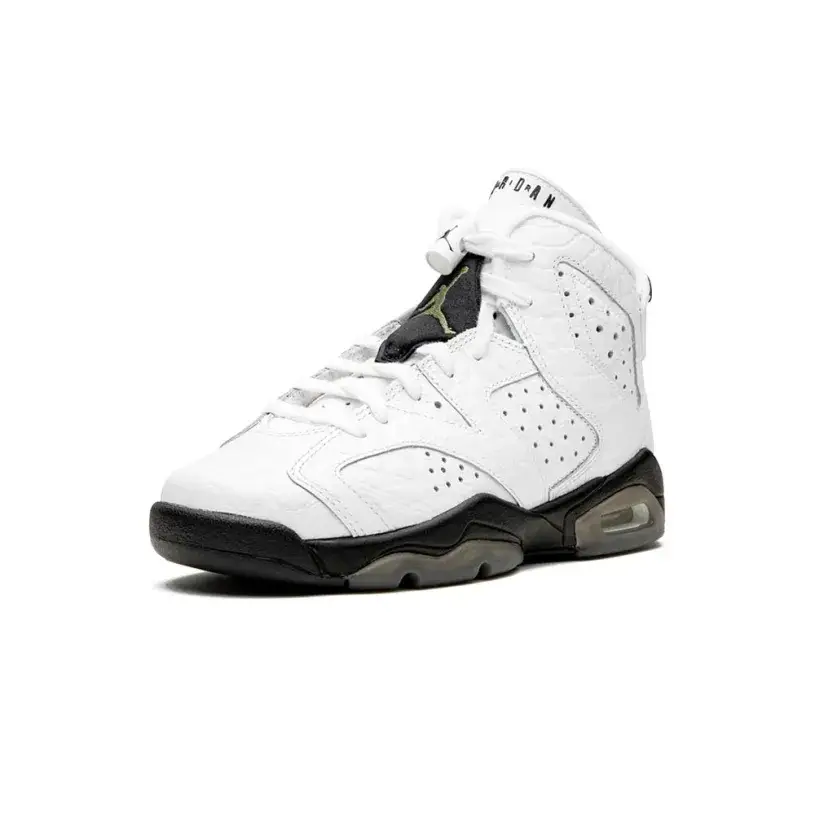 Youth Jordan Air Jordan 6 Retro (GS) “Alligator” 