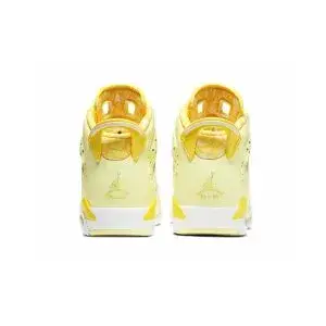 Jordan Air Jordan 6 GS “Floral”