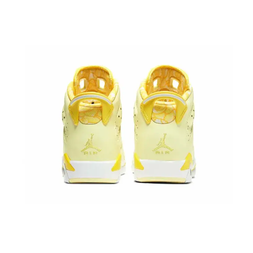 Jordan Air Jordan 6 GS “Floral” 