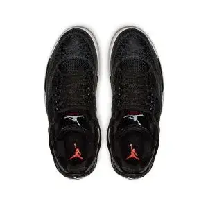 Air Jordan 4 Retro SE