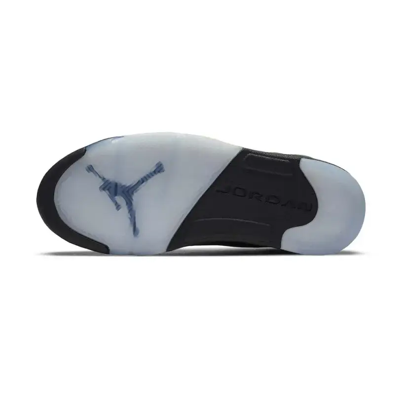 Air Jordan 5 Retro SE 