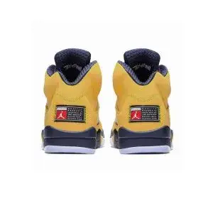 Jordan Air Jordan 5 Retro SE “Michigan”