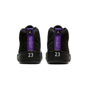 Air Jordan 12 “Dark Concord”