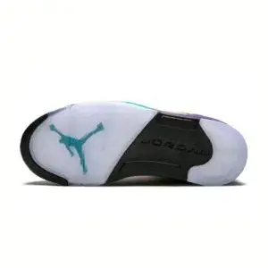 Air Jordan 5 Retro Friends & Family ‘Fresh Prince of BelAir’ MNJDLS-818 